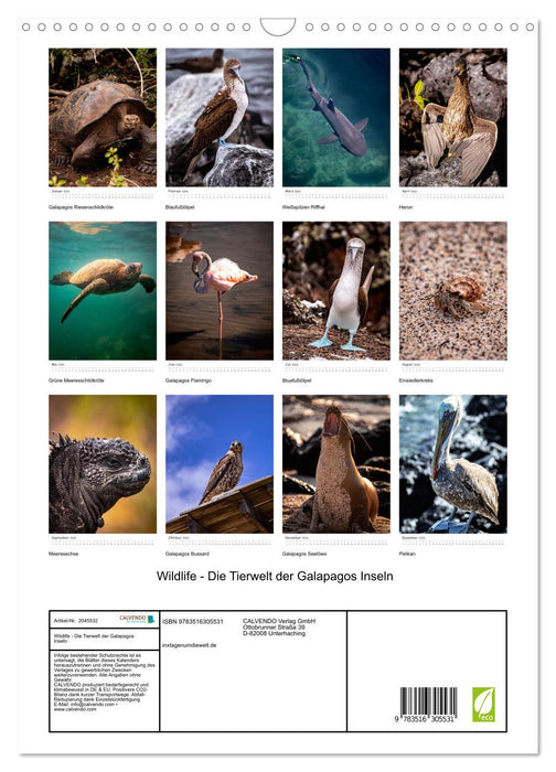 Wildlife - Die Tierwelt der Galapagos Inseln (CALVENDO Wandkalender 2026)