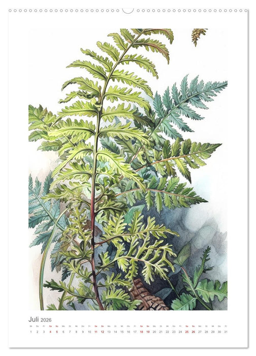 Buntstiftzeichnungen (CALVENDO Premium Wandkalender 2026)