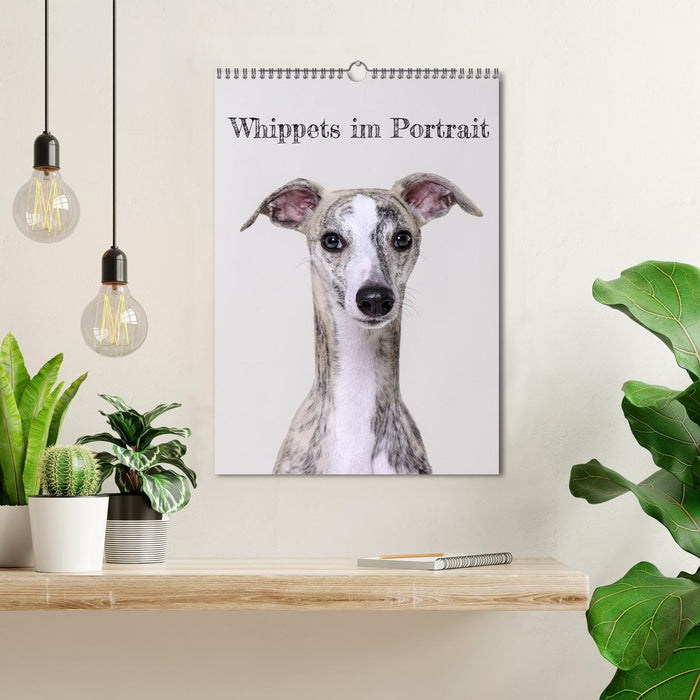 Whippets im Portrait (CALVENDO Wandkalender 2026)