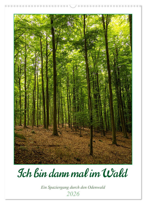 Ich bin dann mal im Wald (CALVENDO Wandkalender 2026)