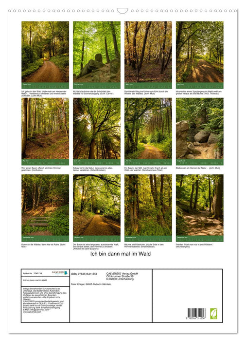 Ich bin dann mal im Wald (CALVENDO Wandkalender 2026)