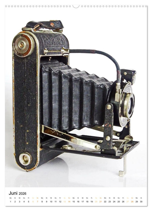 Balgenkameras - Analoge Fotoapparate mit Charme (CALVENDO Premium Wandkalender 2026)