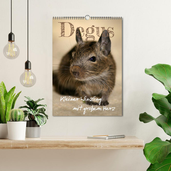 Degus - Winzlinge mit großem Herz (CALVENDO Wandkalender 2026)