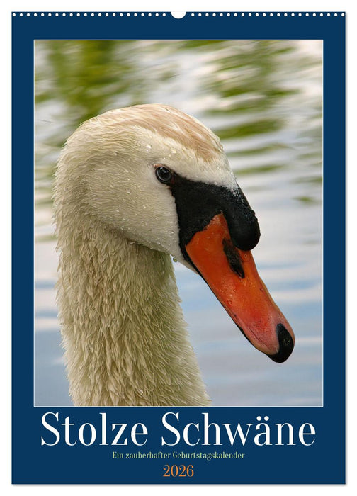 Stolze Schwäne (CALVENDO Wandkalender 2026)