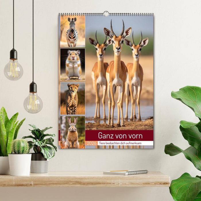 Ganz von vorn (CALVENDO Wandkalender 2026)