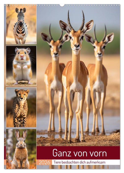 Ganz von vorn (CALVENDO Wandkalender 2026)