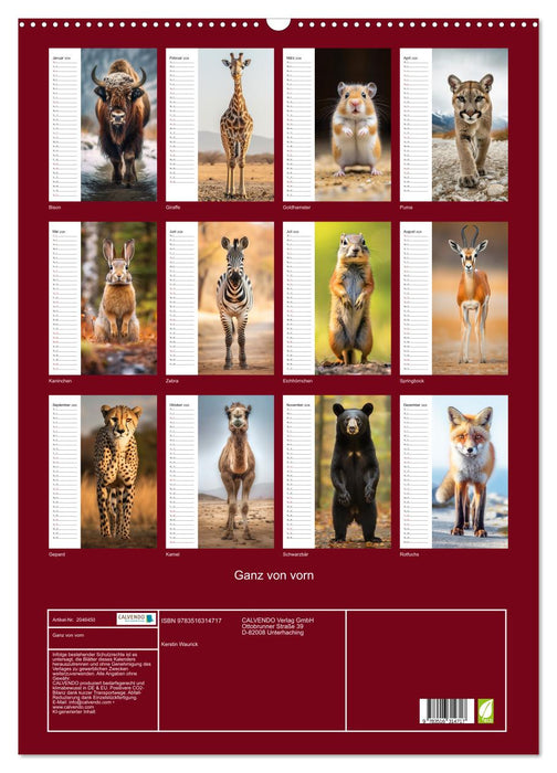 Ganz von vorn (CALVENDO Wandkalender 2026)