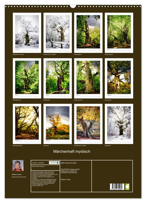 Märchenhaft mystisch (CALVENDO Wandkalender 2026)