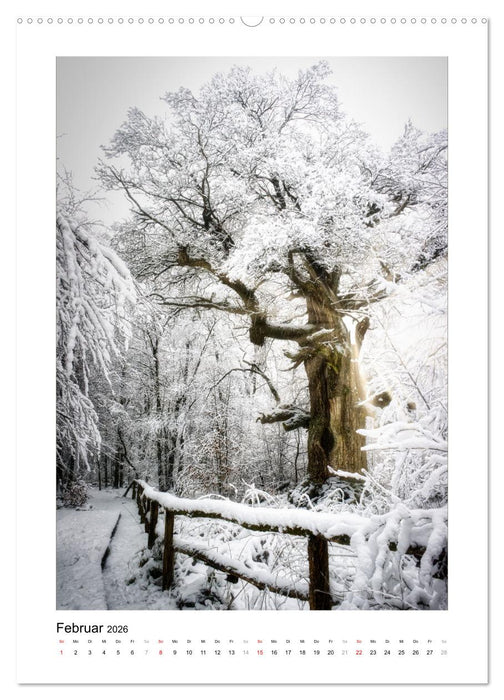 Märchenhaft mystisch (CALVENDO Wandkalender 2026)