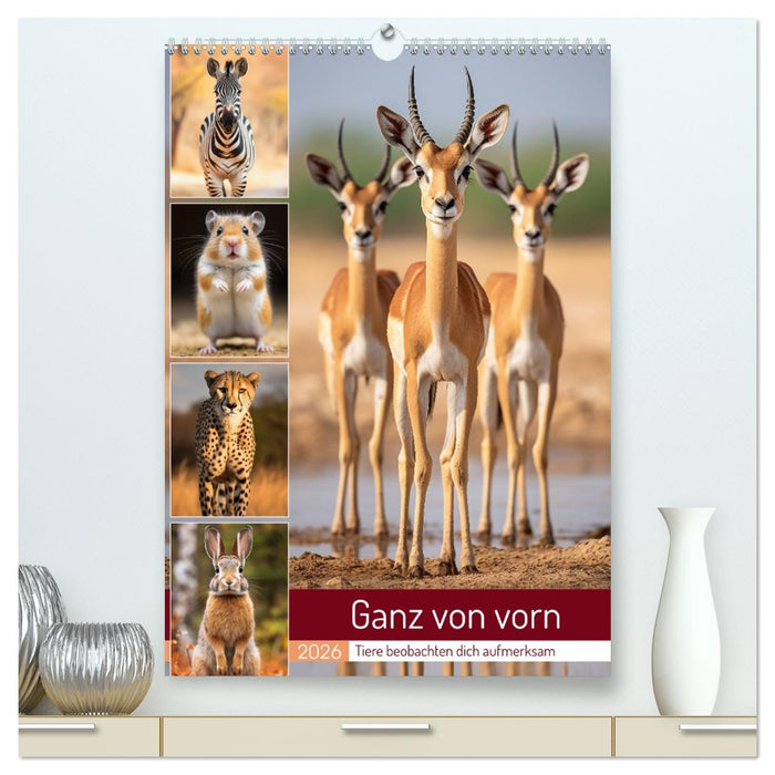 Ganz von vorn (CALVENDO Premium Wandkalender 2026)