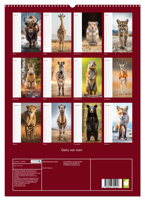 Ganz von vorn (CALVENDO Premium Wandkalender 2026)