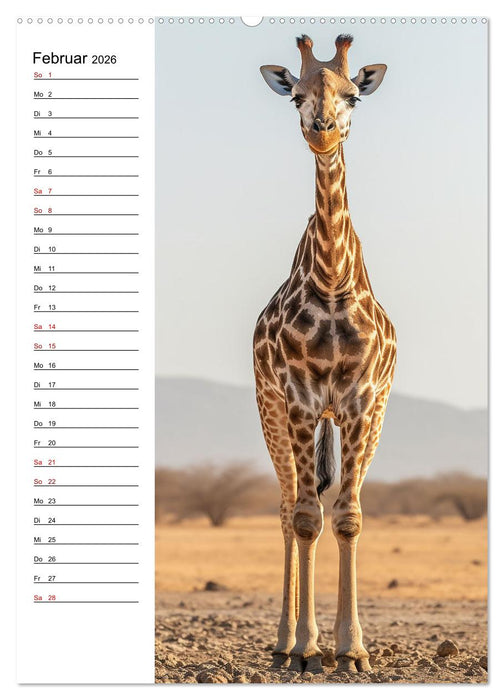 Ganz von vorn (CALVENDO Premium Wandkalender 2026)