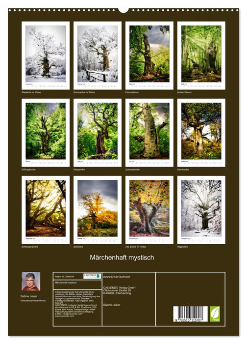 Märchenhaft mystisch (CALVENDO Premium Wandkalender 2026)