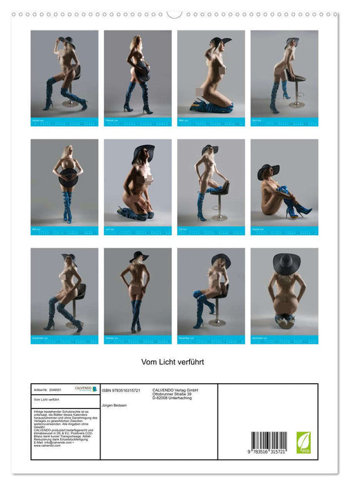 Vom Licht verführt (CALVENDO Premium Wandkalender 2026)