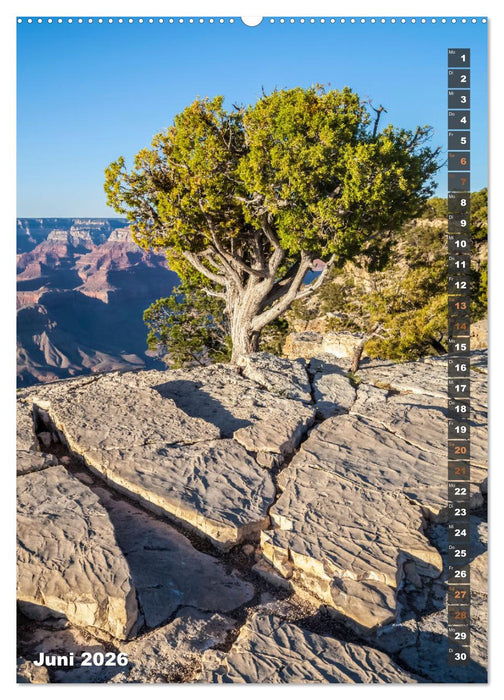 GRAND CANYON Imposante Aussichten (CALVENDO Premium Wandkalender 2026)