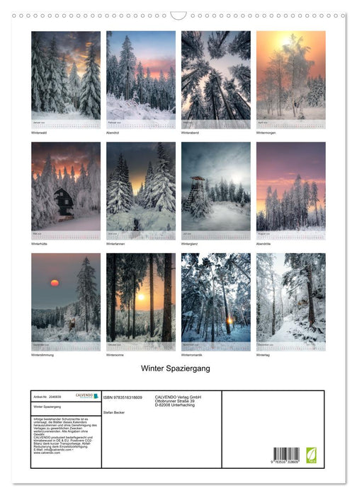 Winter Spaziergang (CALVENDO Wandkalender 2026)