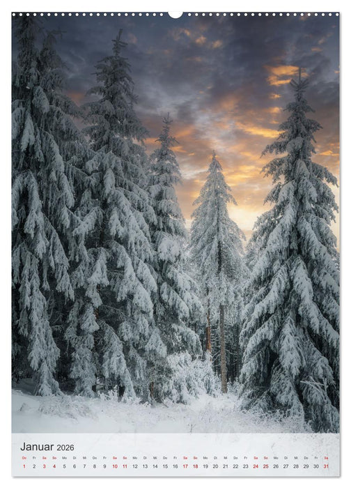 Winter Spaziergang (CALVENDO Wandkalender 2026)