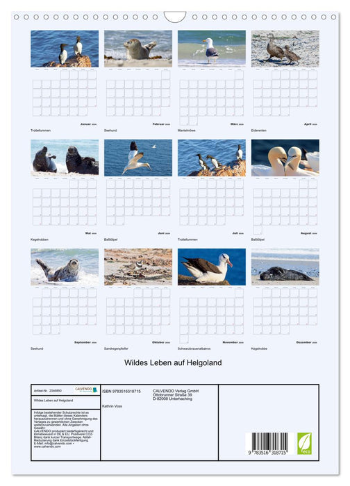 Wildes Leben auf Helgoland (CALVENDO Wandkalender 2026)