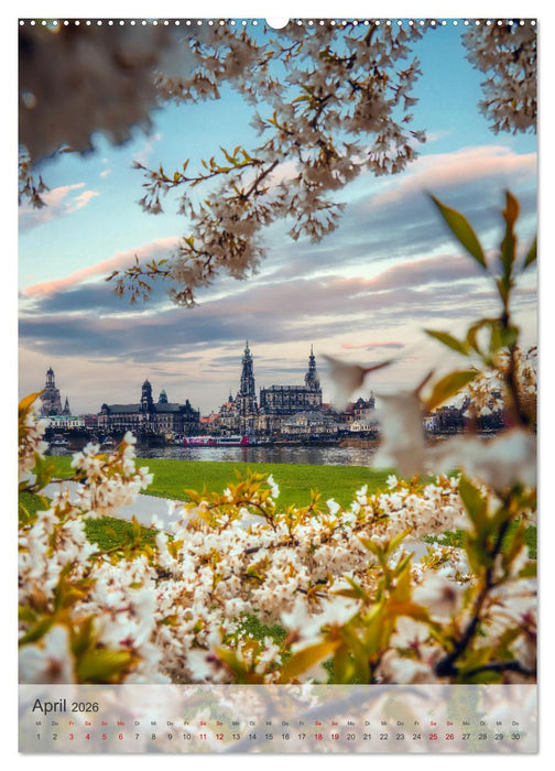 Elbstadt Dresden (CALVENDO Premium Wandkalender 2026)