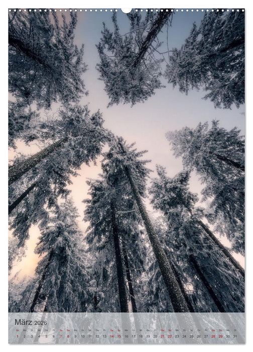 Winter Spaziergang (CALVENDO Premium Wandkalender 2026)