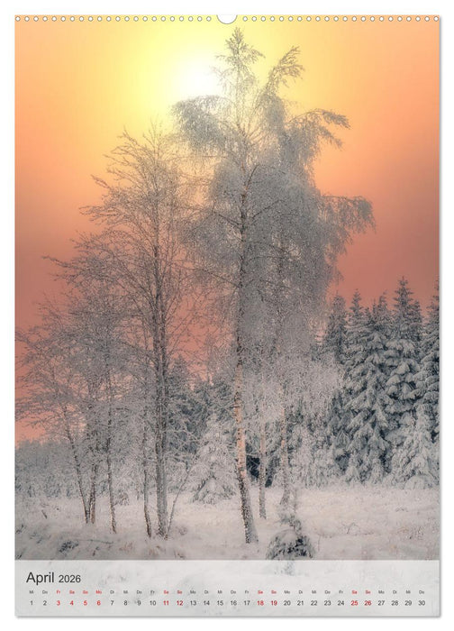 Winter Spaziergang (CALVENDO Premium Wandkalender 2026)