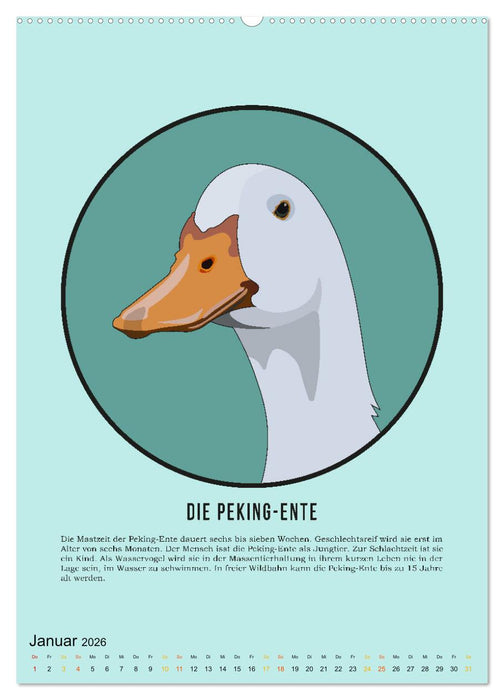 NUTZtiere, Ein Kalender für Erwachsene und aufgeklärte Kinder (CALVENDO Wandkalender 2026)