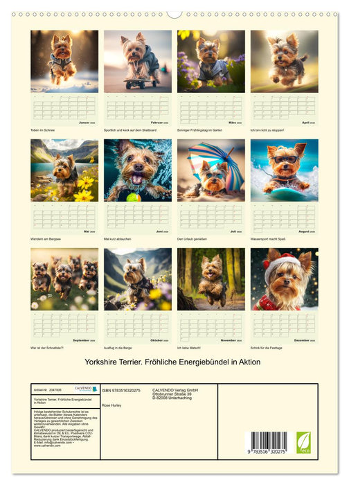 Yorkshire Terrier. Fröhliche Energiebündel in Aktion (CALVENDO Premium Wandkalender 2026)