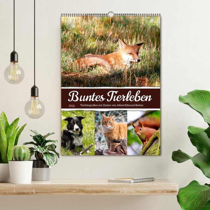 Buntes Tierleben (CALVENDO Wandkalender 2026)