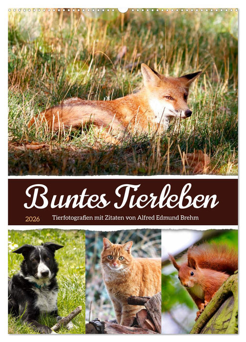 Buntes Tierleben (CALVENDO Wandkalender 2026)