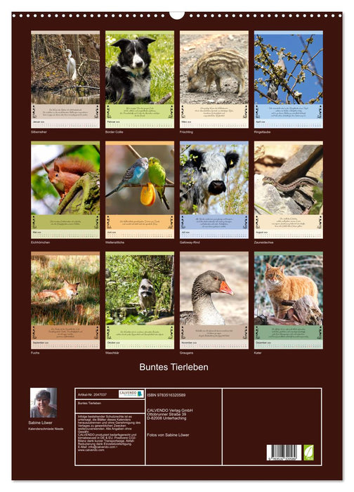 Buntes Tierleben (CALVENDO Wandkalender 2026)