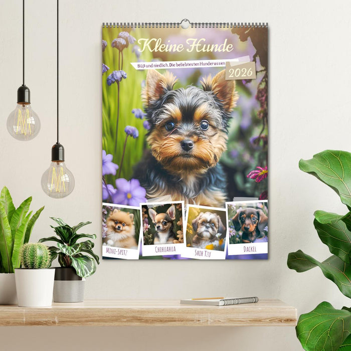 Kleine Hunde. Süß und niedlich. Die beliebtesten Hunderassen (CALVENDO Wandkalender 2026)