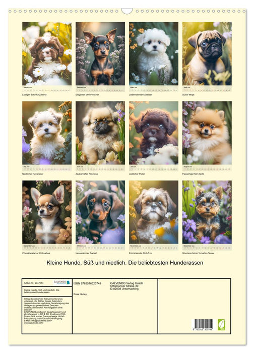 Kleine Hunde. Süß und niedlich. Die beliebtesten Hunderassen (CALVENDO Wandkalender 2026)
