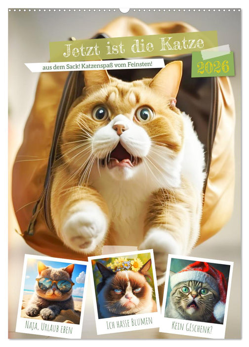 Jetzt ist die Katze aus dem Sack! Katzenspaß vom Feinsten! (CALVENDO Wandkalender 2026)