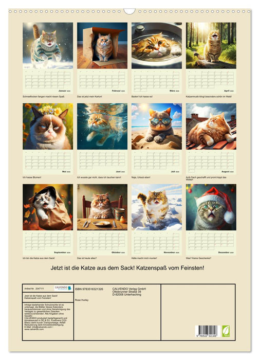 Jetzt ist die Katze aus dem Sack! Katzenspaß vom Feinsten! (CALVENDO Wandkalender 2026)