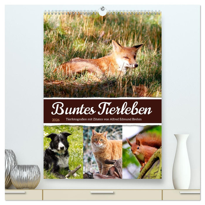 Buntes Tierleben (CALVENDO Premium Wandkalender 2026)