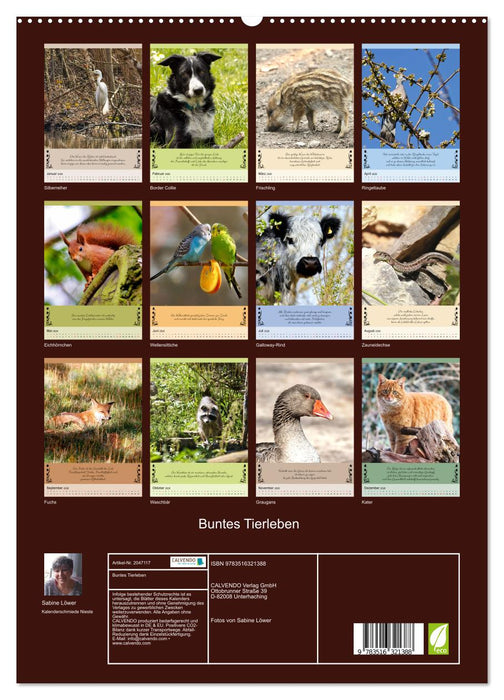 Buntes Tierleben (CALVENDO Premium Wandkalender 2026)