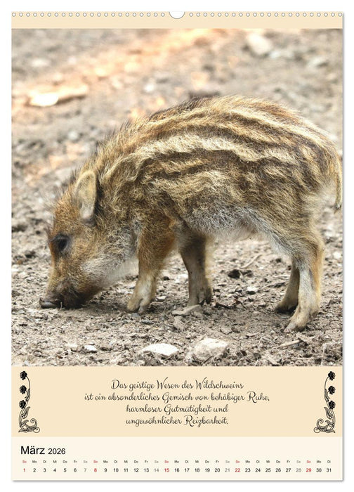 Buntes Tierleben (CALVENDO Premium Wandkalender 2026)