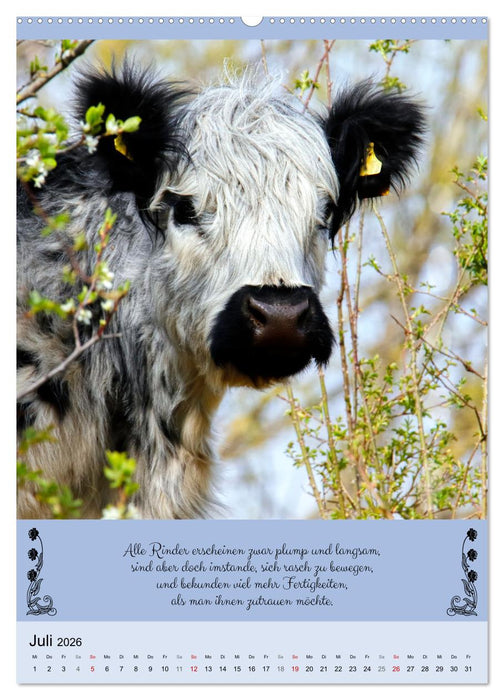 Buntes Tierleben (CALVENDO Premium Wandkalender 2026)