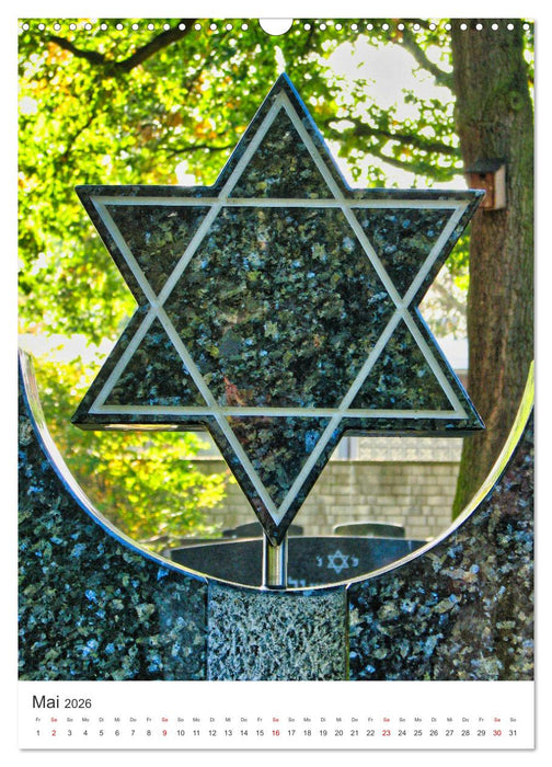 Davidschilde (CALVENDO Wandkalender 2026)