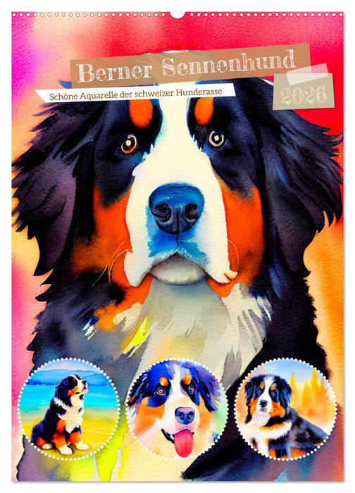 Berner Sennenhund 2026. Schöne Aquarelle der schweizer Hunderasse (CALVENDO Wandkalender 2026)