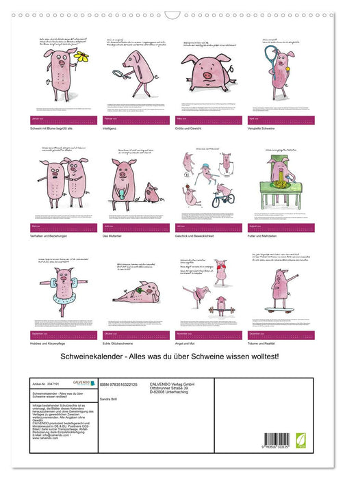Schweinekalender - Alles was du über Schweine wissen wolltest! (CALVENDO Wandkalender 2026)