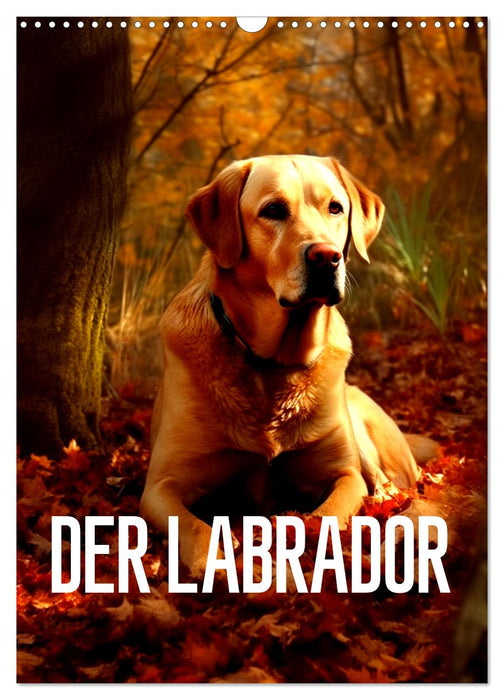 Der Labrador (CALVENDO Wandkalender 2026)
