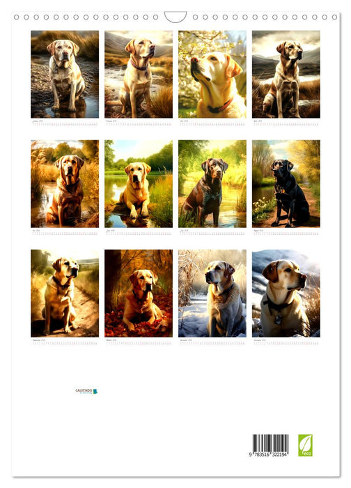 Der Labrador (CALVENDO Wandkalender 2026)