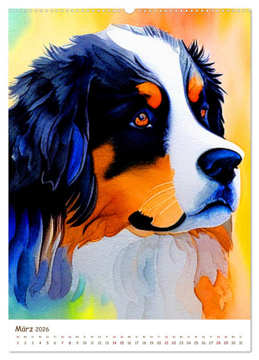 Berner Sennenhund 2026. Schöne Aquarelle der schweizer Hunderasse (CALVENDO Premium Wandkalender 2026)