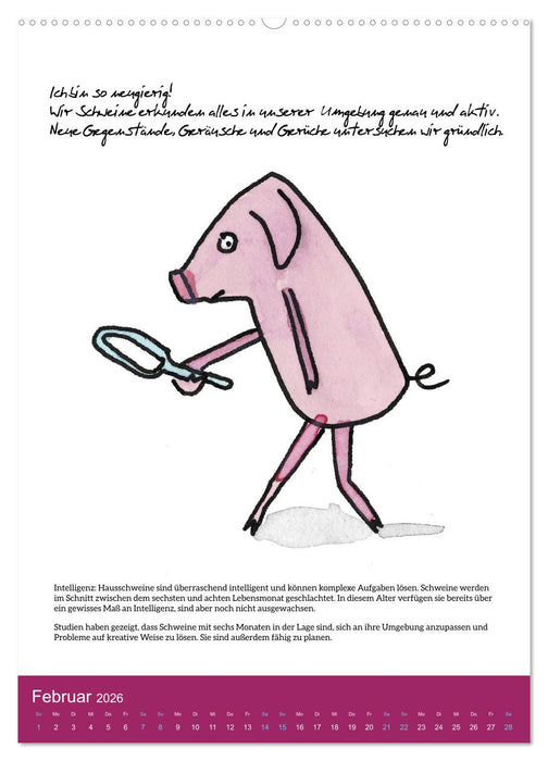 Schweinekalender - Alles was du über Schweine wissen wolltest! (CALVENDO Premium Wandkalender 2026)