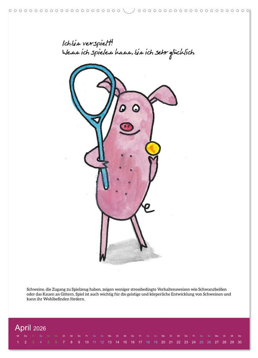 Schweinekalender - Alles was du über Schweine wissen wolltest! (CALVENDO Premium Wandkalender 2026)
