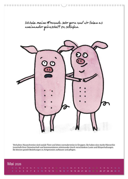 Schweinekalender - Alles was du über Schweine wissen wolltest! (CALVENDO Premium Wandkalender 2026)