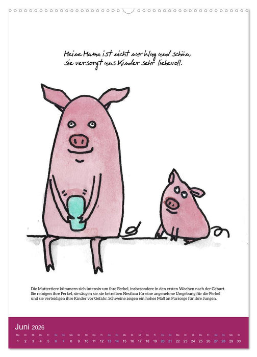 Schweinekalender - Alles was du über Schweine wissen wolltest! (CALVENDO Premium Wandkalender 2026)