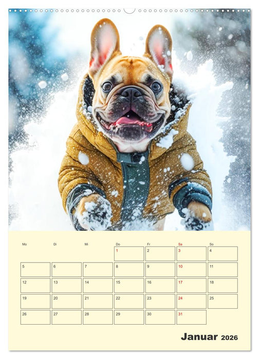 Lustige Fledermäuse. Französische Bulldoggen bei der Freizeitgestaltung (CALVENDO Premium Wandkalender 2026)