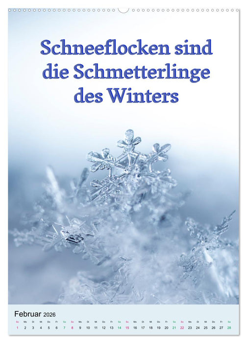 Die vier Jahreszeiten begleitet mit Sprüchen (CALVENDO Wandkalender 2026)